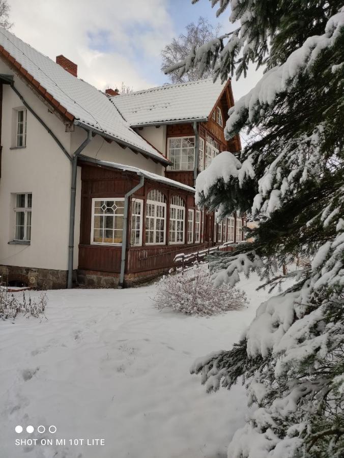 Homestay Brzozowy Gaj