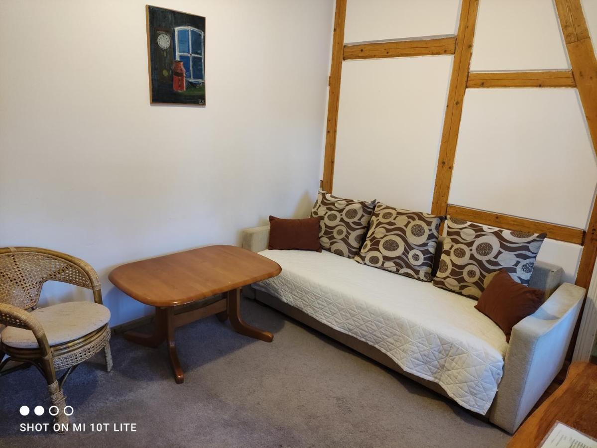 Brzozowy Gaj Homestay *