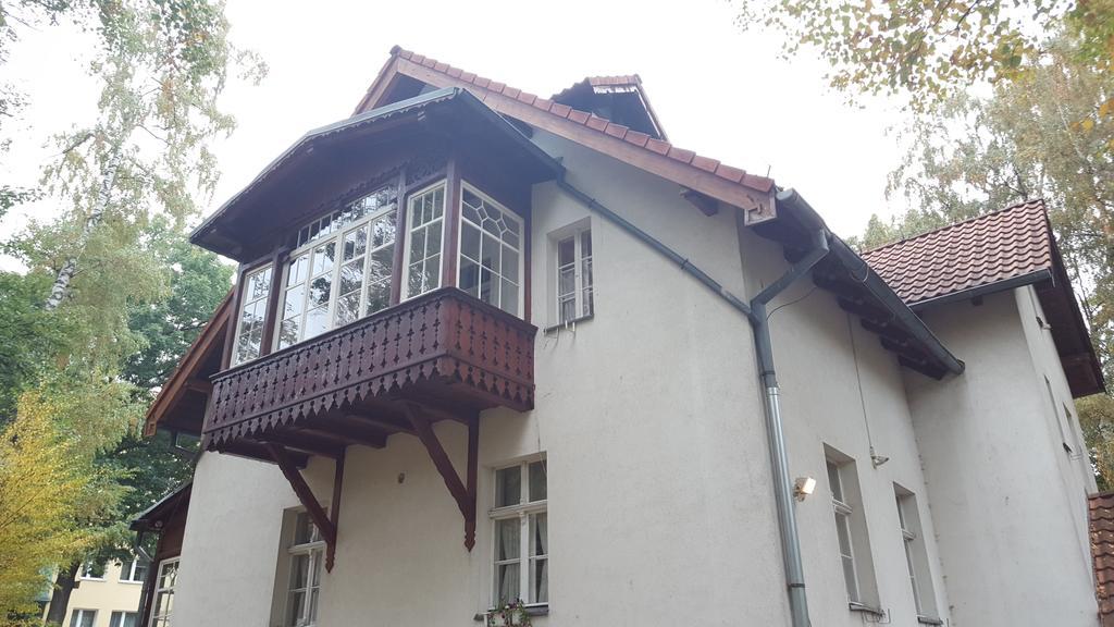 Brzozowy Gaj *